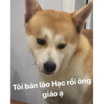 Lao hac og