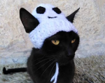 <Skull