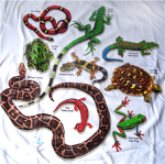 reptile lover group