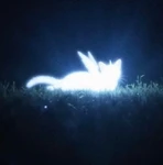 lunescent Group Thumbnail