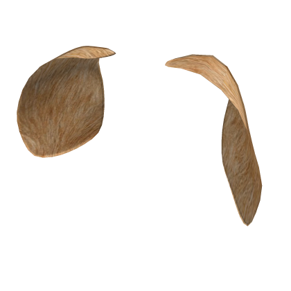 Dog Ears