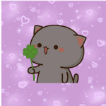 •-•Cats•-•
