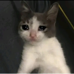 -B R Y A N-