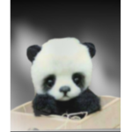 Panda Fam! <3