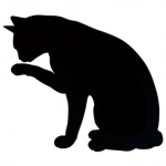 Bootiful Kitty Catz <3