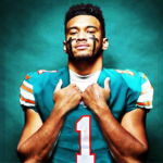 Miami dolphins fanbase
