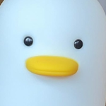 ~{ Ben son Ducks }~