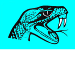 FAMU Travel Football Team
