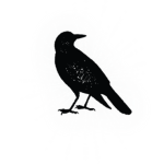 Darkwing Entertainment
