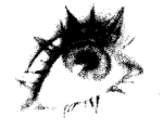 Vvexenity