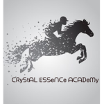Crystal Essence Academy