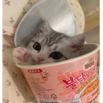 心拍数