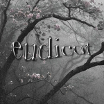 eudicot ⊹