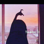 Amo vcs povo