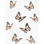 - peachy clothing -