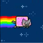 Cats for all