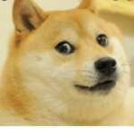 Lots and lots of memes