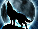 Lost Wolves!