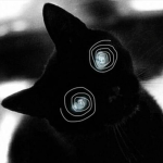 NXXSE