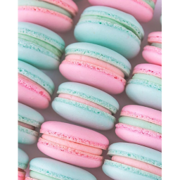 Tiny Little Rainbow Cookies Meeting
