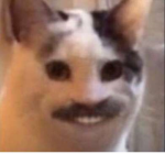 Hugothegraet317