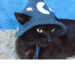 quecatcraft