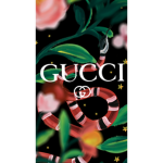 THE GUCCI GANG GURLS