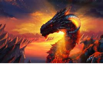 dragon fire pro