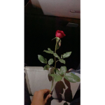 LORYDANAXD