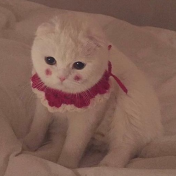 Mimomo & Kotomugi - Invisible (hard)