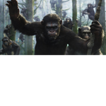 MONKEY THE REAL!!