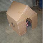 Cardboard Housing