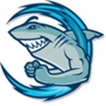 the shark