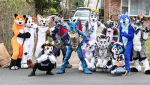furies forever