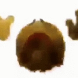 weird button game
