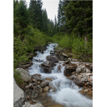 Arrow Creek