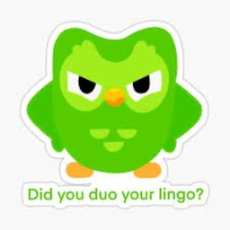 Survive Duolingo