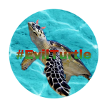 Evil Turtle
