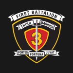 1st Battalion, 3rd Marines "Lava Dogs"