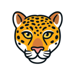 Cheetah Fans!