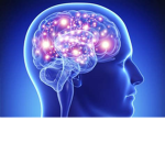 Big Brain Mafia
