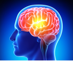 All Hail BrainPowerLaurita