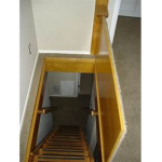 Bush's Basement