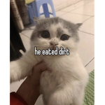 he eated dirt