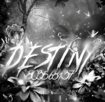 destinyyw