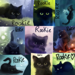 Rookie Army!