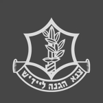 Yiddish Defense Force