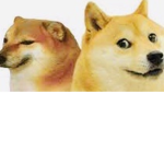 Doge Bois Studios
