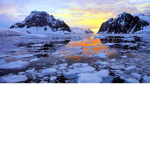 The Antarctic Hangout