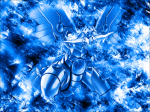 Shining Dragon Duelists